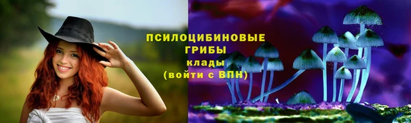 хмурый Богородицк