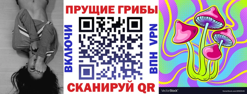 Псилоцибиновые грибы Cubensis  Ворсма 